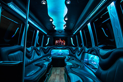 Passenger party bus